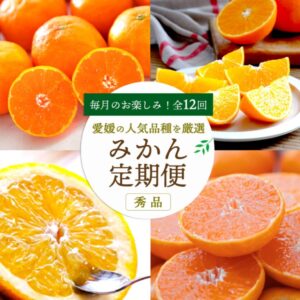 みかん好き必見~ミヤモトオレンジガーデンの旬のかんきつを定期購入で楽しもう