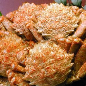 【保存版】クリガニ通販ガイド｜旬・選び方・Amazonの在庫が少ない時は楽天で補完！